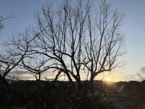 2026元旦、初日の出