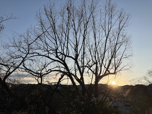 2026元旦、初日の出