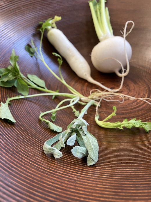 七草の日、ブナコ、bunaco、ボウル、鉢