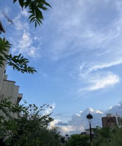 下北沢、南西口、夏