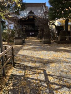 下北沢、森贋時、大銀杏