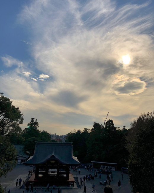 秋晴れ、鶴岡八幡宮、鎌倉